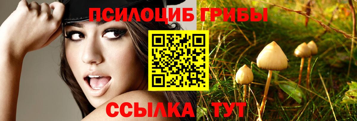 Галлюциногенные грибы мицелий Сатка